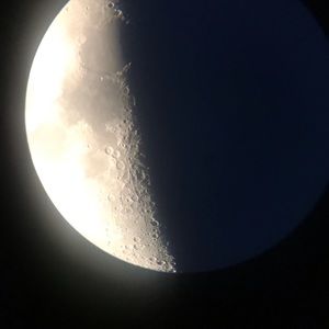 Meet your Posher, Monique